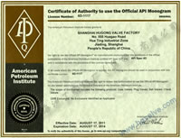 ����ʯ�͌W�� API 6D �J�C