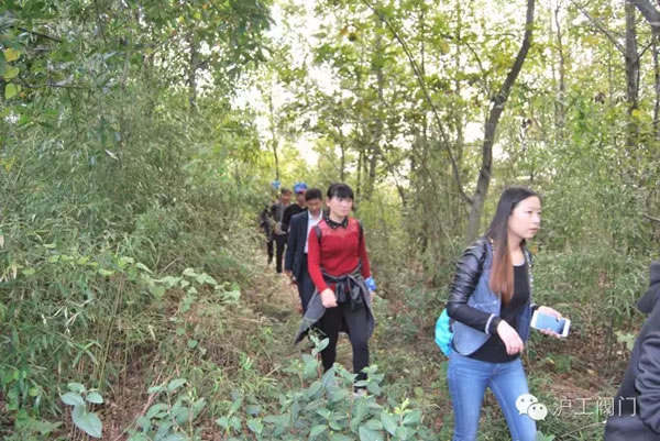 �Ϻ������y�T�S2016���＾ͽ�����л��(d��ng) �D4