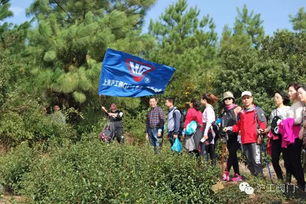 �Ϻ������y�T�S2016���＾ͽ�����л��(d��ng) �D6