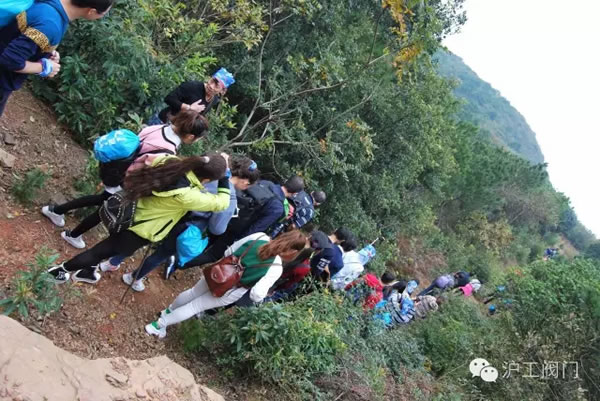 �Ϻ������y�T�S2016���＾ͽ�����л��(d��ng) �D8