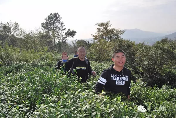 �Ϻ������y�T�S2016���＾ͽ�����л��(d��ng) �D10