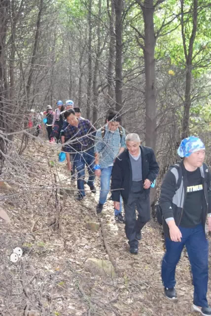 �Ϻ������y�T�S2016���＾ͽ�����л��(d��ng) �D12