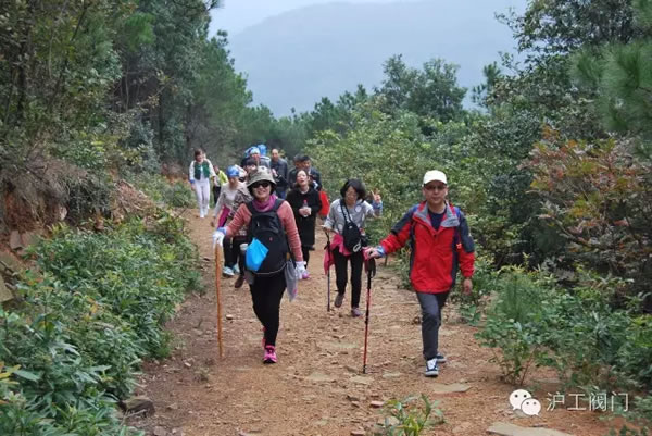 �Ϻ������y�T�S2016���＾ͽ�����л��(d��ng) �D13