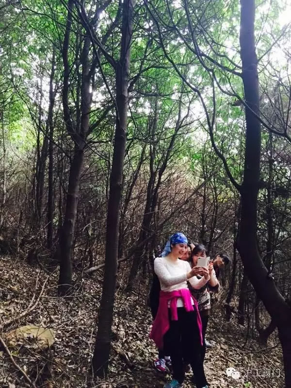 �Ϻ������y�T�S2016���＾ͽ�����л��(d��ng) �D14