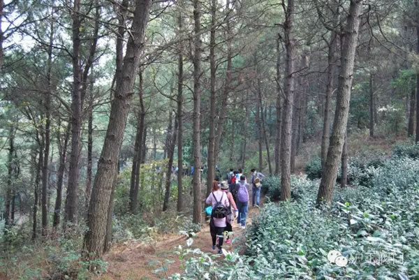 �Ϻ������y�T�S2016���＾ͽ�����л��(d��ng) �D24