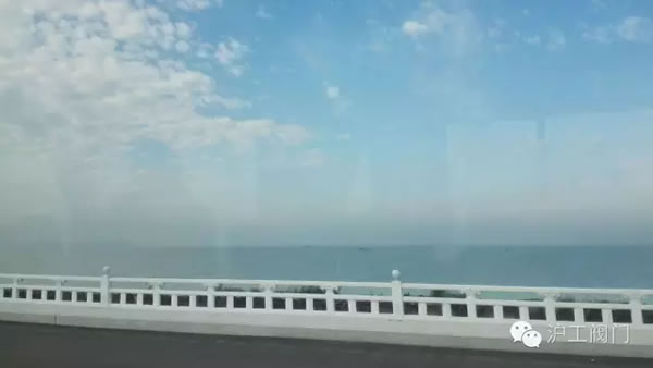 �Ϻ������y�T�S2016���＾ͽ�����л��(d��ng) �D28