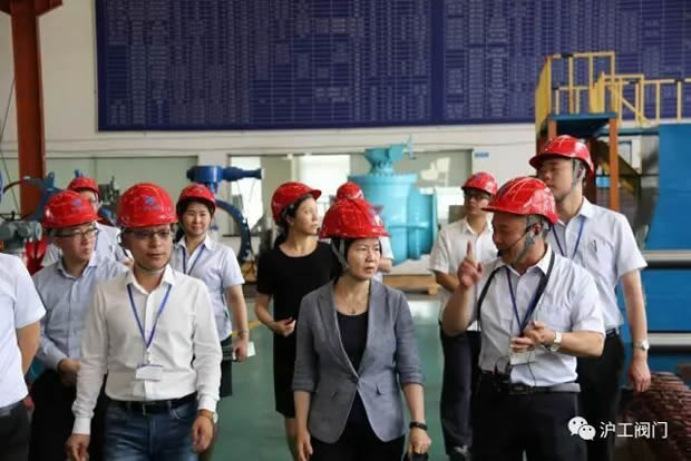 嘉定區副區長陸祖芳等領導一行蒞臨我公司視察指導工作(圖6)