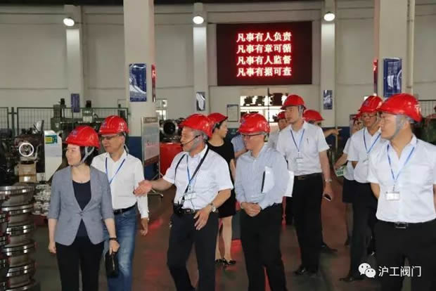 嘉定區副區長陸祖芳等領導一行蒞臨我公司視察指導工作(圖10)