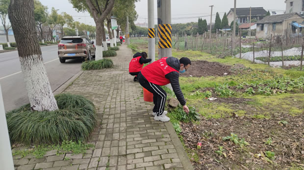 �Ϻ������y�T�S�����hͬ־�W(xu��)��(x��)���(d��ng)�DƬ3